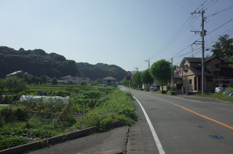 f:id:Greenweekends:20160821090542j:image:w640