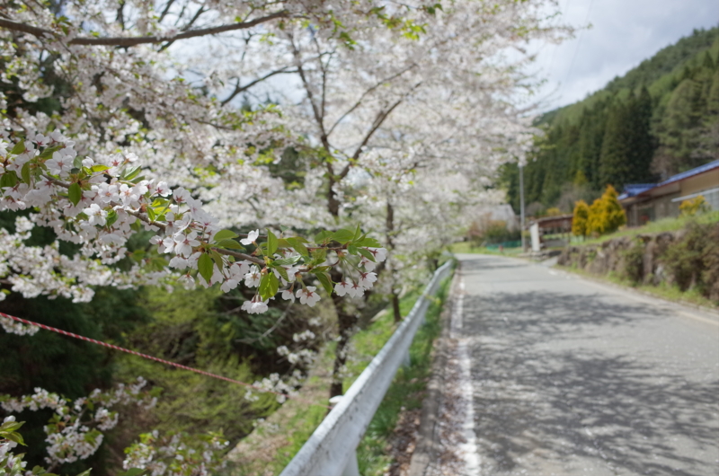 f:id:Greenweekends:20170505115903j:image:w640