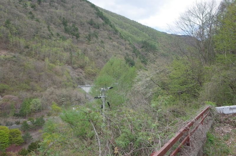 f:id:Greenweekends:20170505152424j:image:w640