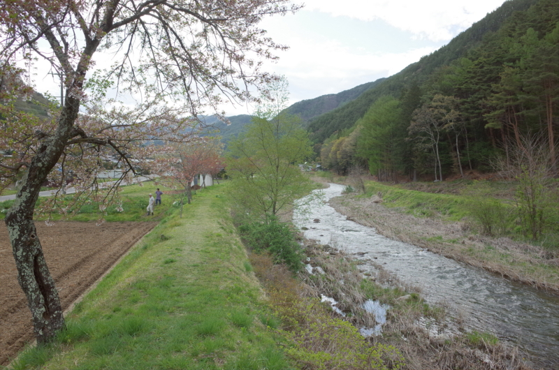 f:id:Greenweekends:20170505155711j:image:w640