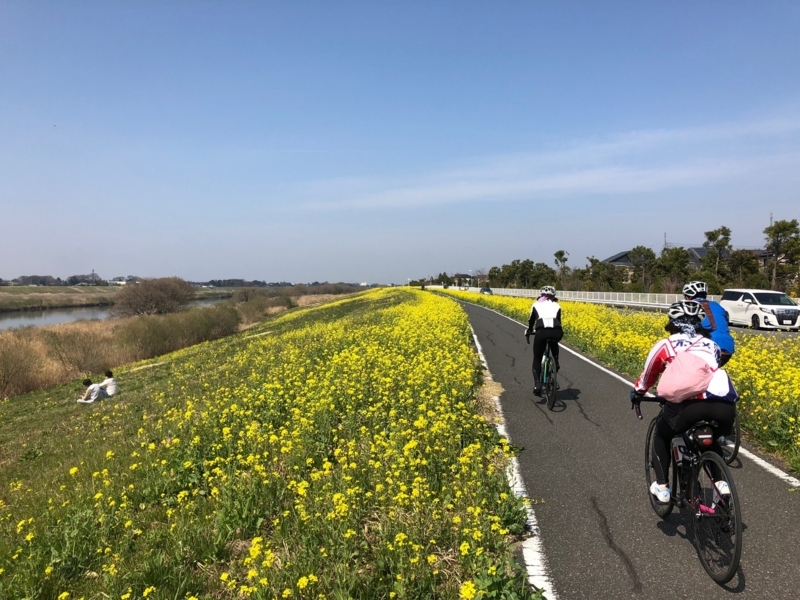 f:id:Greenweekends:20180318115754j:image:w640 f:id:Greenweekends:20180318115754j:image:w640