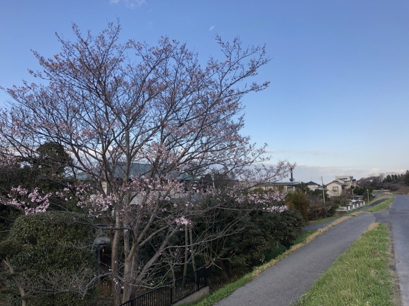 f:id:Greenweekends:20180323234401j:image:w640