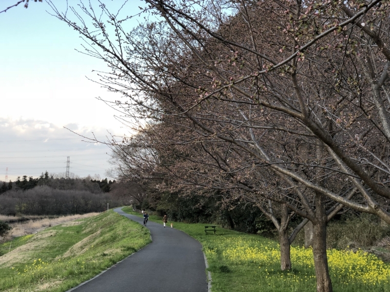 f:id:Greenweekends:20180323234546j:image:w640