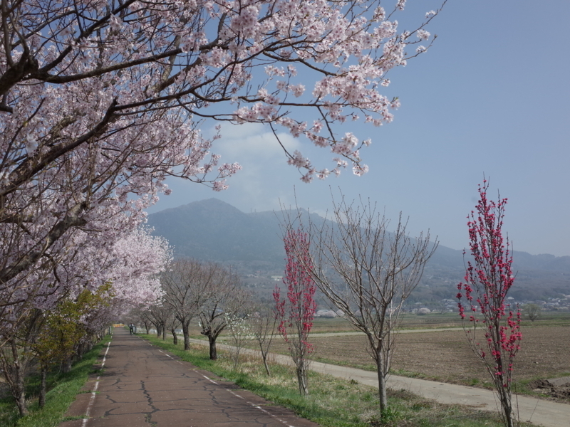 f:id:Greenweekends:20180328105227j:image:w640