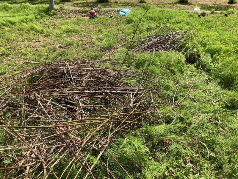 f:id:Greenweekends:20180430114010j:image:w640