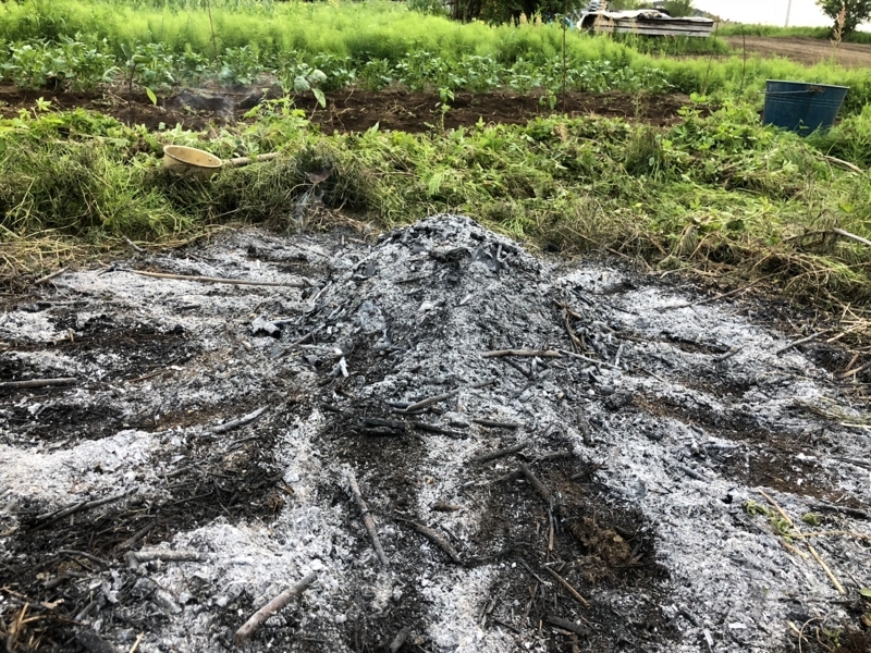 f:id:Greenweekends:20180430180210j:image:w640