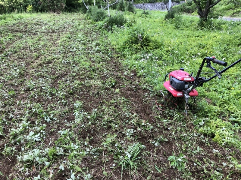 スパイラルローターの使い方を思い出したこと (^^; - 緑の週末日記