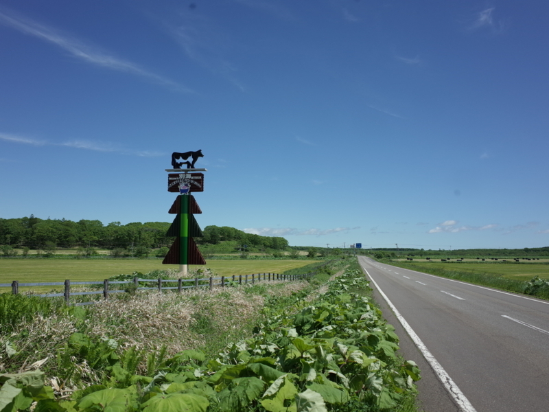 f:id:Greenweekends:20180628100636j:image:w640