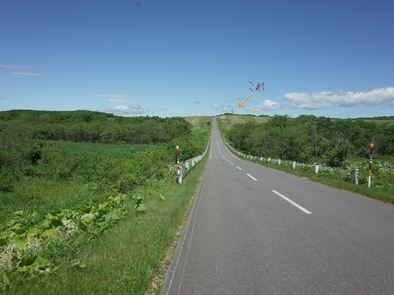 f:id:Greenweekends:20180628111051j:image:w640