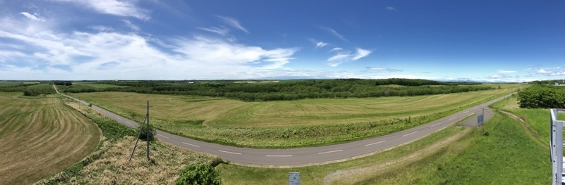 f:id:Greenweekends:20180628112236j:image:w640