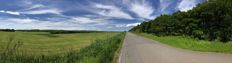 f:id:Greenweekends:20180628131956j:image:w640