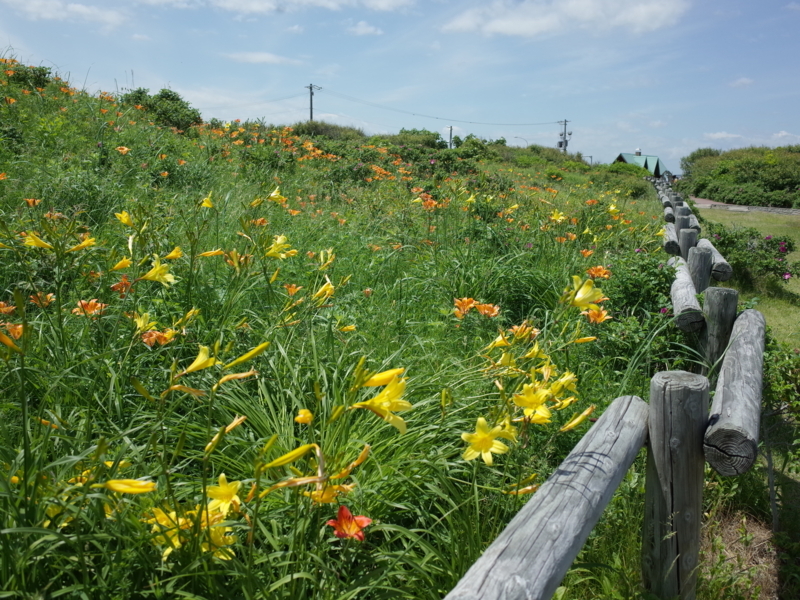 f:id:Greenweekends:20180630110341j:image:w640