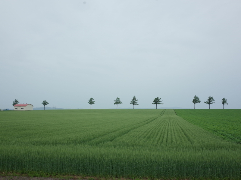 f:id:Greenweekends:20180701114142j:image:w640