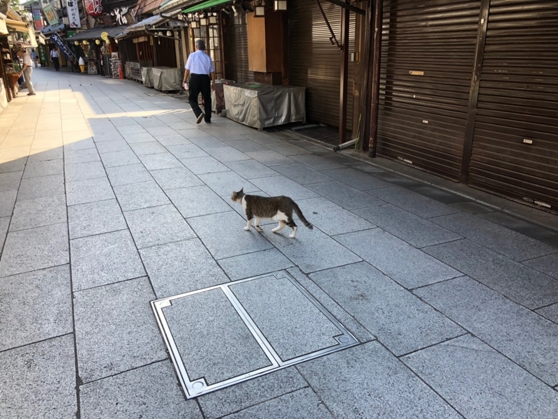 f:id:Greenweekends:20180814080941j:image:w640