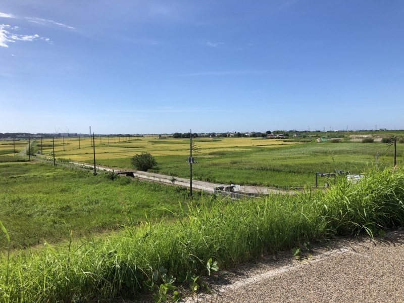 f:id:Greenweekends:20180825085715j:image:w640