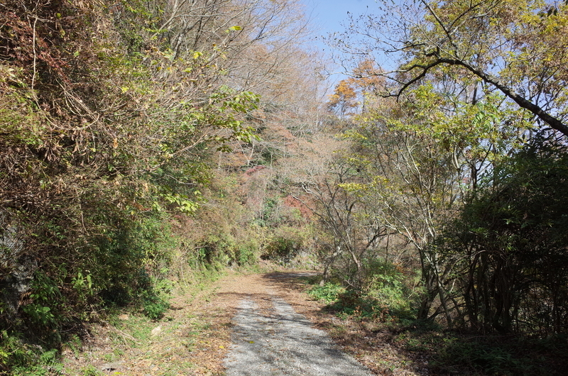 f:id:Greenweekends:20181201102817j:plain