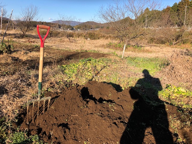 f:id:Greenweekends:20181224141739j:plain f:id:Greenweekends:20181224141739j:plain