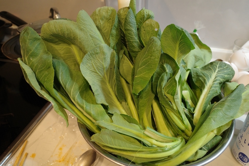 f:id:Greenweekends:20190404220117j:plain