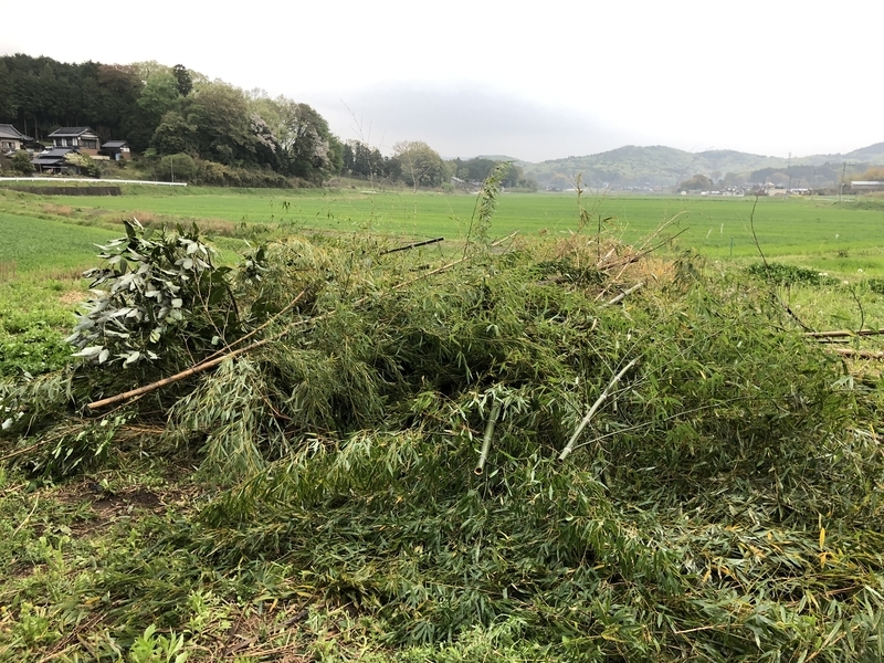 f:id:Greenweekends:20190424175744j:plain