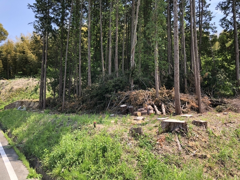 f:id:Greenweekends:20190512124857j:plain f:id:Greenweekends:20190512124857j:plain