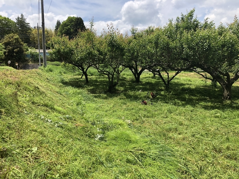 f:id:Greenweekends:20190518115727j:plain