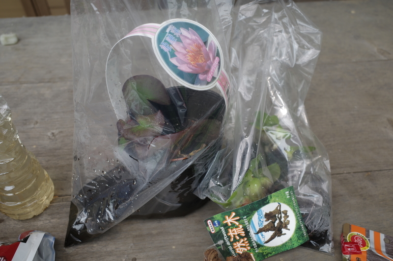 f:id:Greenweekends:20190605104215j:plain