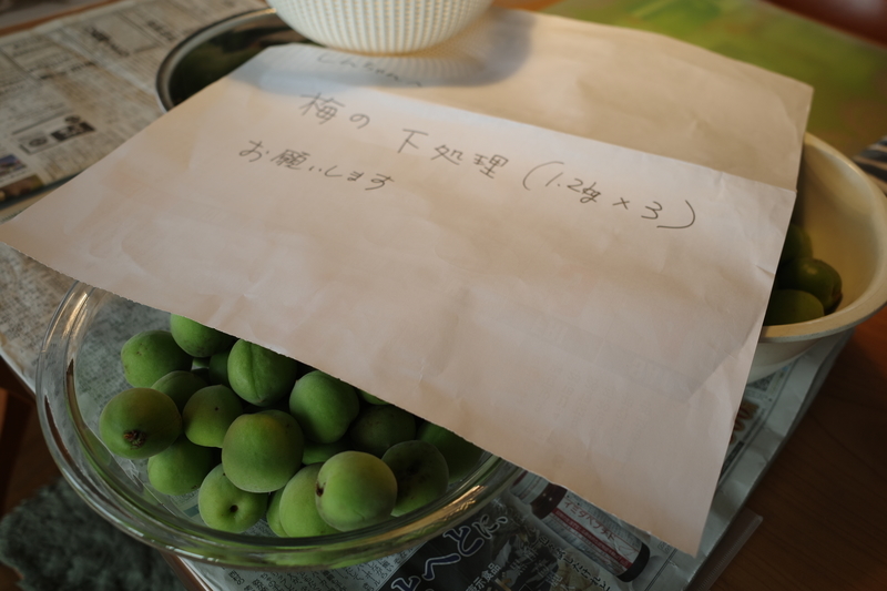 f:id:Greenweekends:20190606053400j:plain