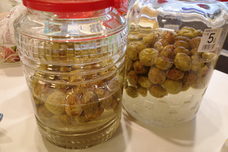 f:id:Greenweekends:20190615230913j:plain