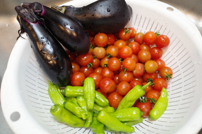 f:id:Greenweekends:20190812230238j:plain