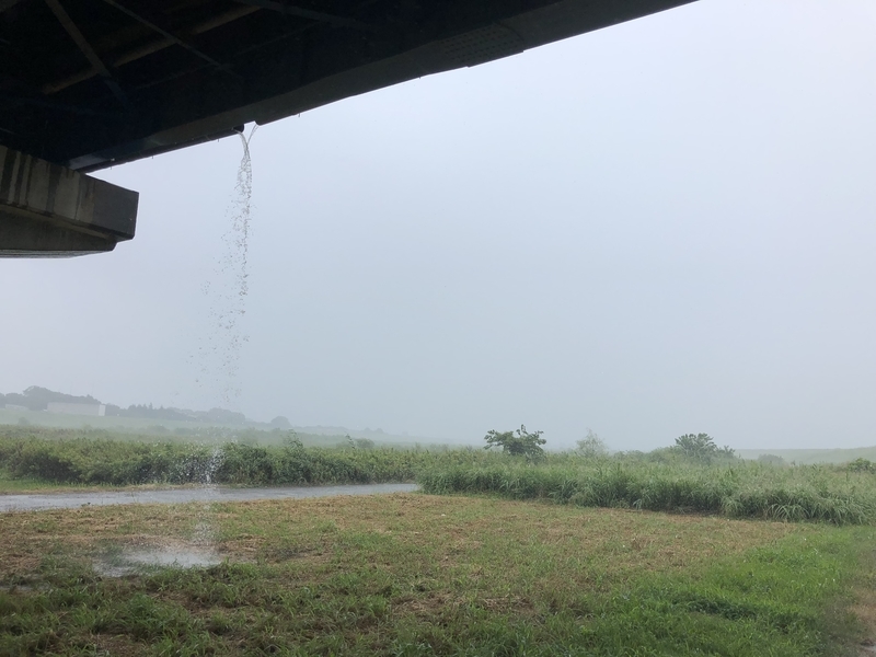 f:id:Greenweekends:20190814094239j:plain f:id:Greenweekends:20190814094239j:plain