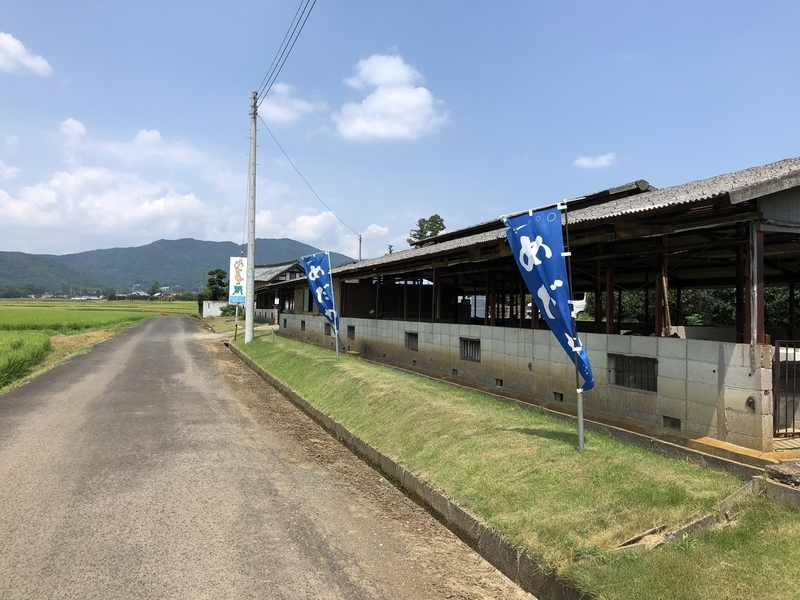 f:id:Greenweekends:20190818120852j:plain