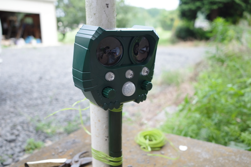 f:id:Greenweekends:20190818160917j:plain