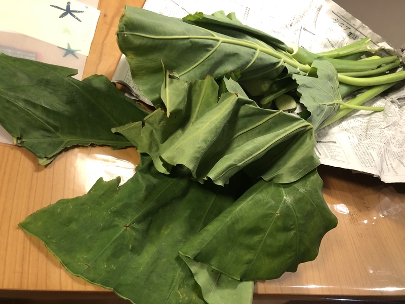 f:id:Greenweekends:20191116193349j:plain