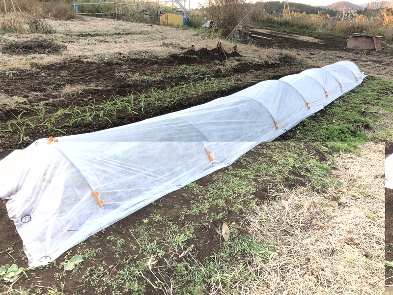 f:id:Greenweekends:20191208154022j:plain f:id:Greenweekends:20191208154022j:plain