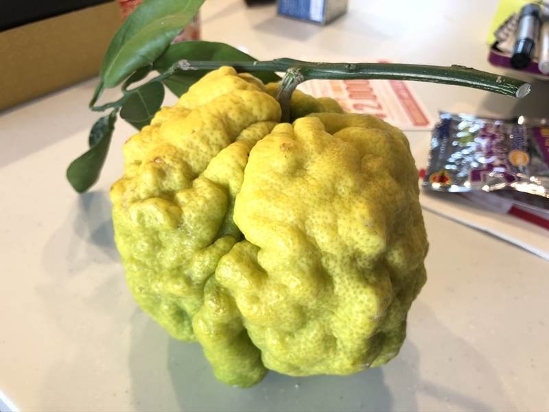 f:id:Greenweekends:20191211101359j:plain f:id:Greenweekends:20191211101359j:plain