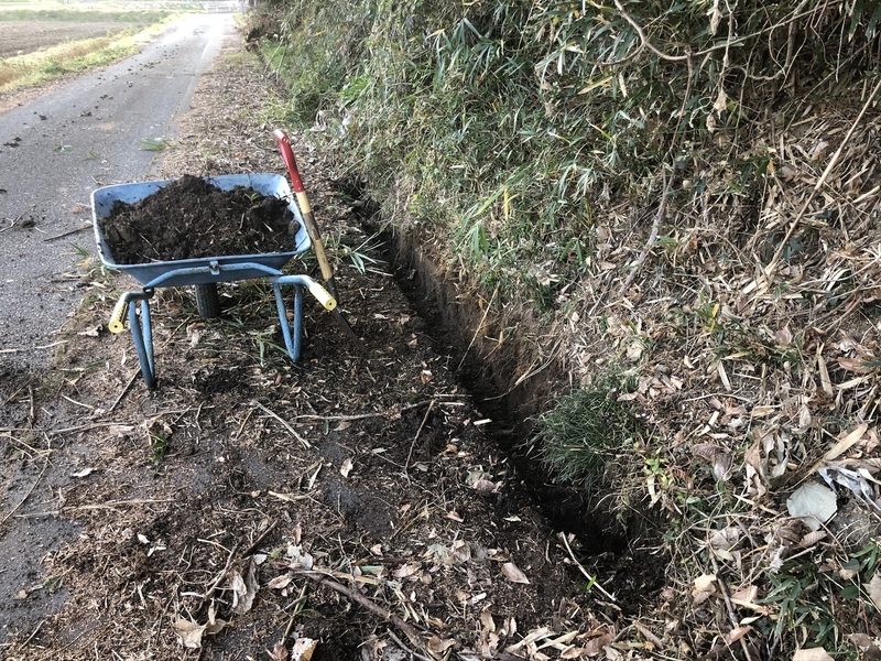 f:id:Greenweekends:20191214154441j:plain f:id:Greenweekends:20191214154441j:plain