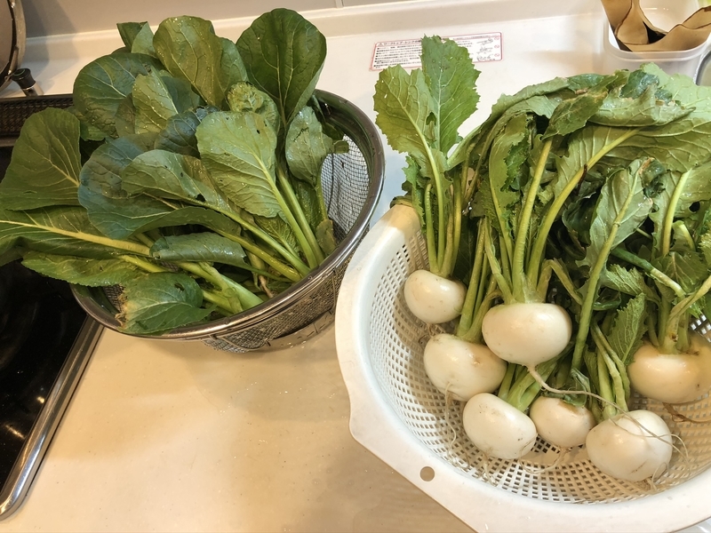 f:id:Greenweekends:20191229193414j:plain