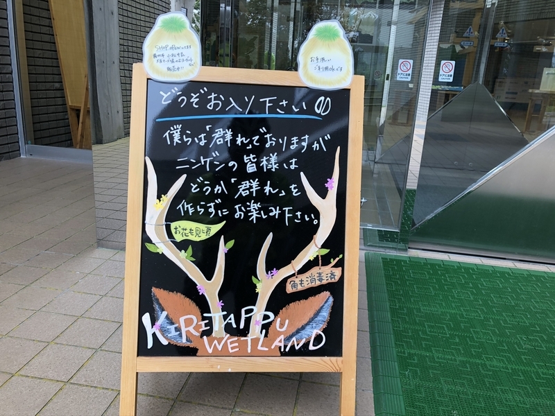 f:id:Greenweekends:20201003133449j:plain