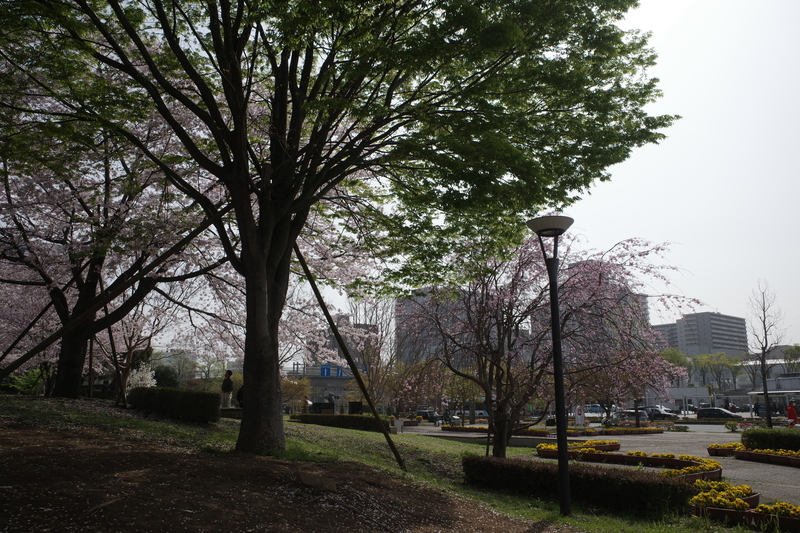 f:id:Greenweekends:20210331090935j:plain