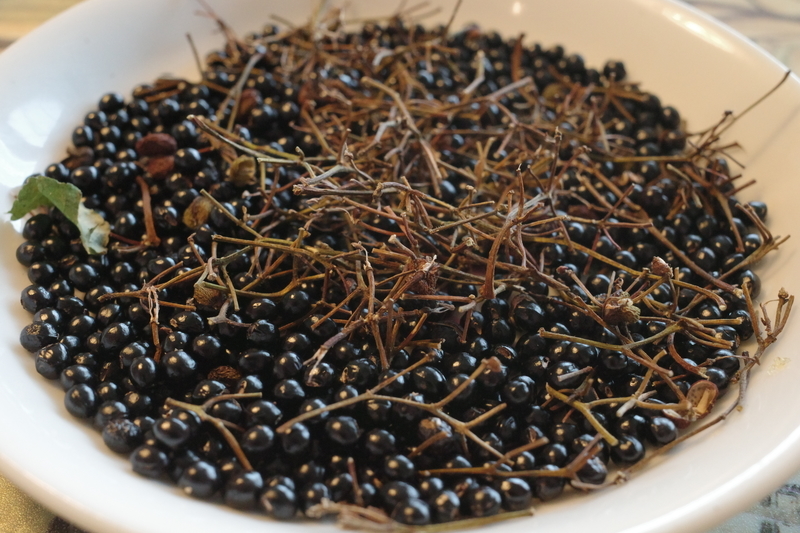 f:id:Greenweekends:20210918131441j:plain