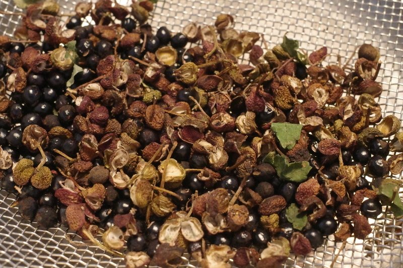 f:id:Greenweekends:20210918165114j:plain