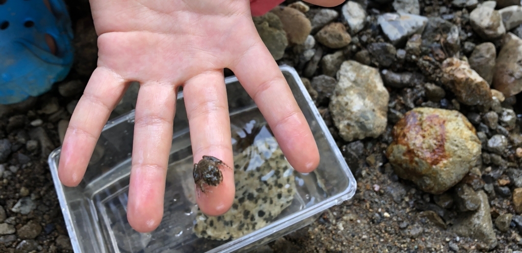 f:id:Growing-Parent:20180805061703j:plain f:id:Growing-Parent:20180805061703j:plain