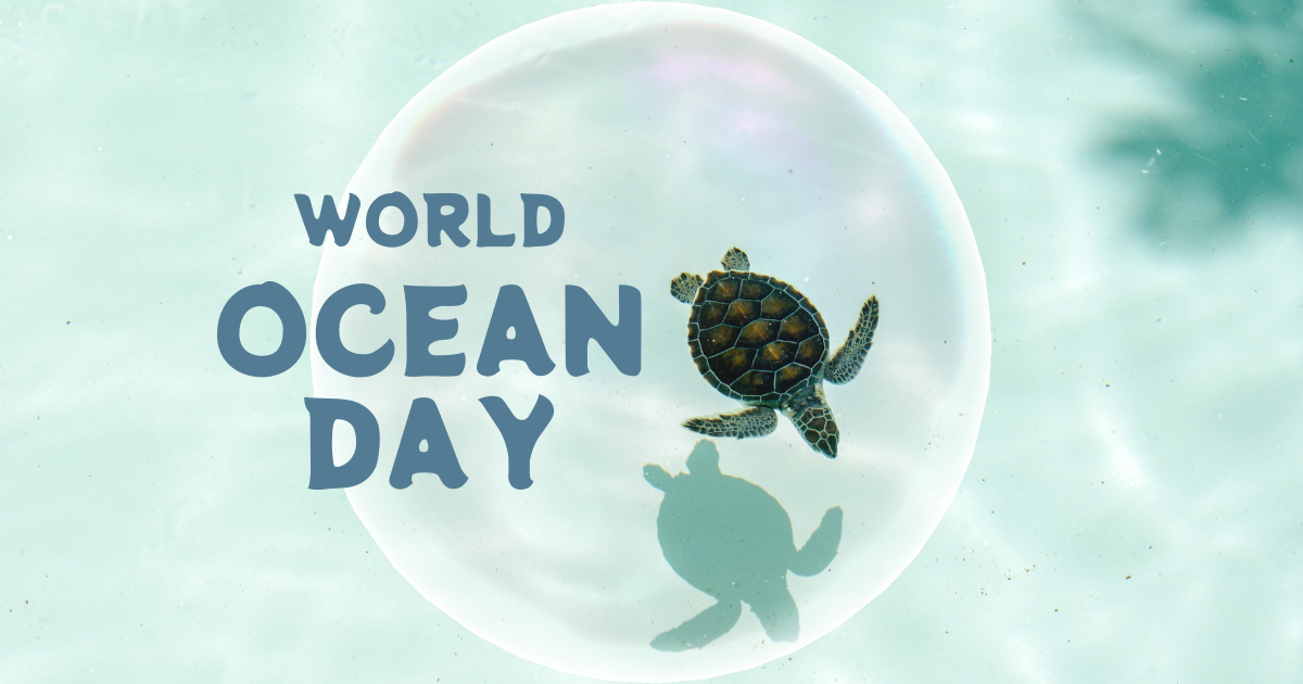 World Ocean Day