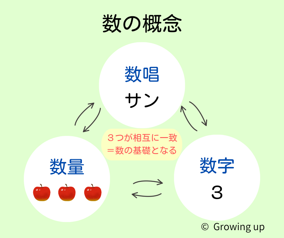 数の概念