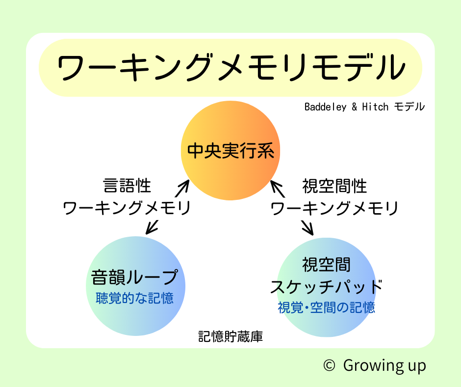 ワーキングメモリモデル