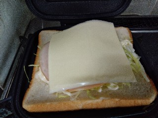 f:id:Gsandwich:20200323104945j:plain