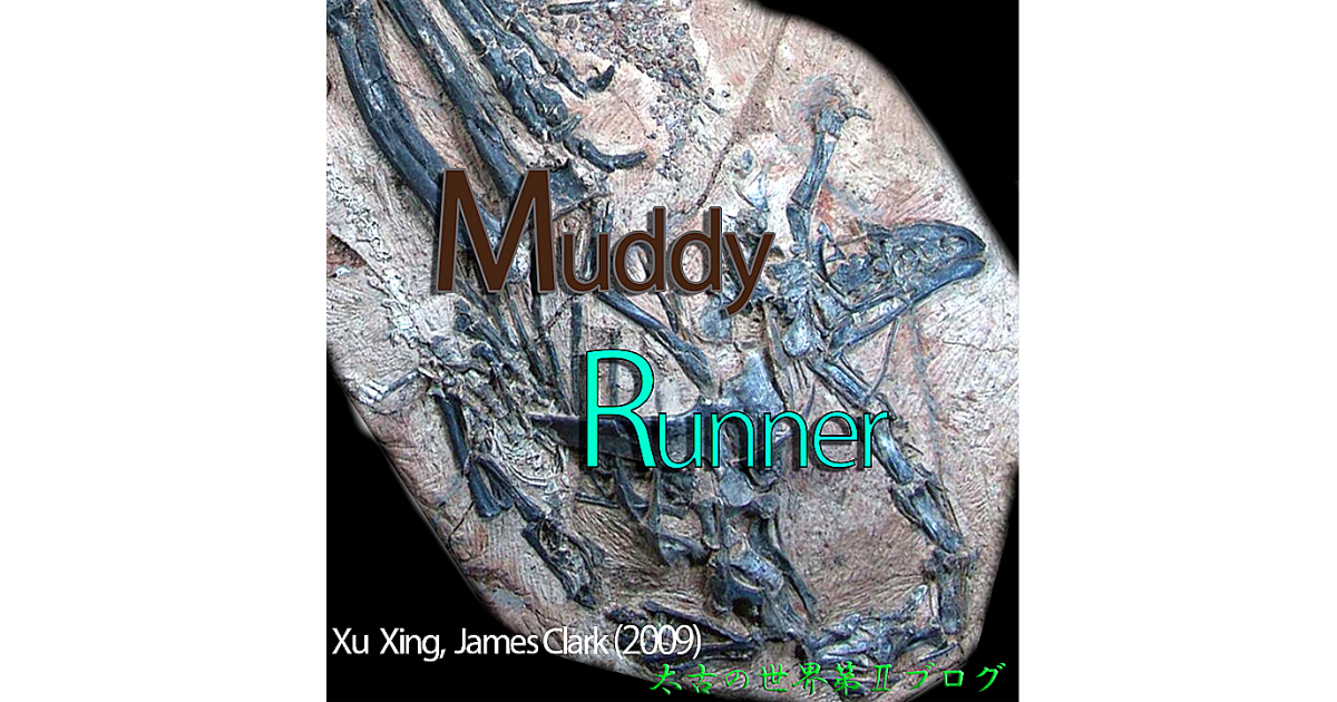 発見 恐竜の墓場 ４ 太古の世界 第 ブログ