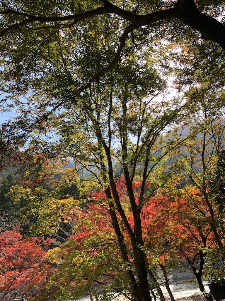 f:id:Gucchy:20191118135405j:image