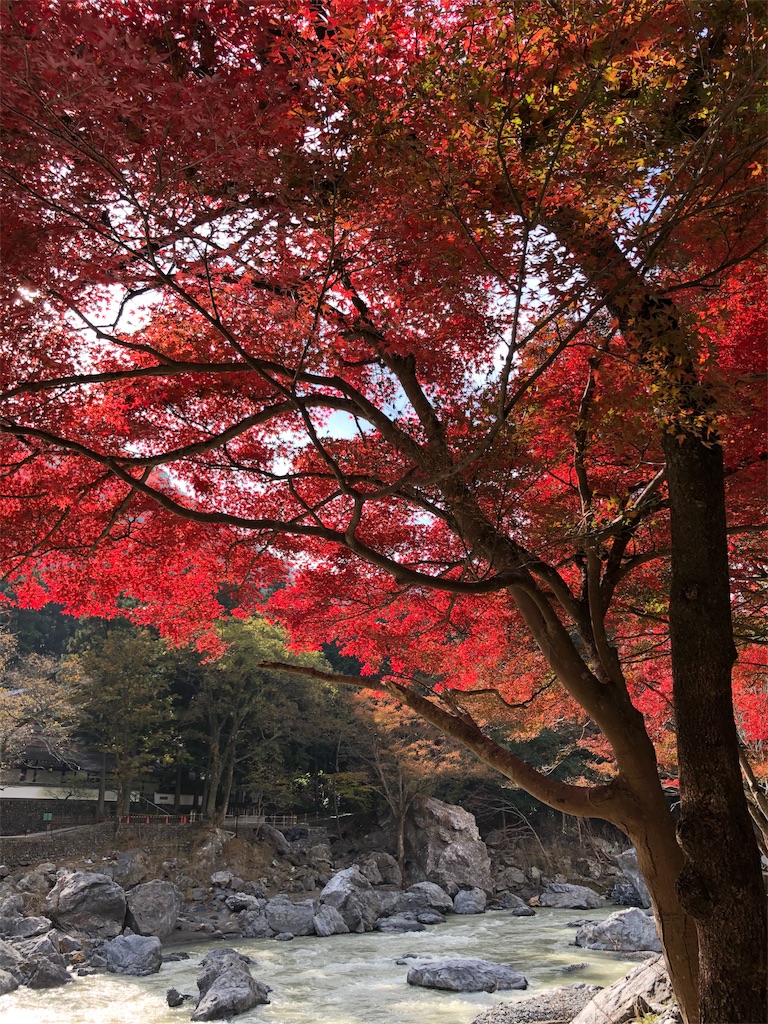 f:id:Gucchy:20191118135526j:image