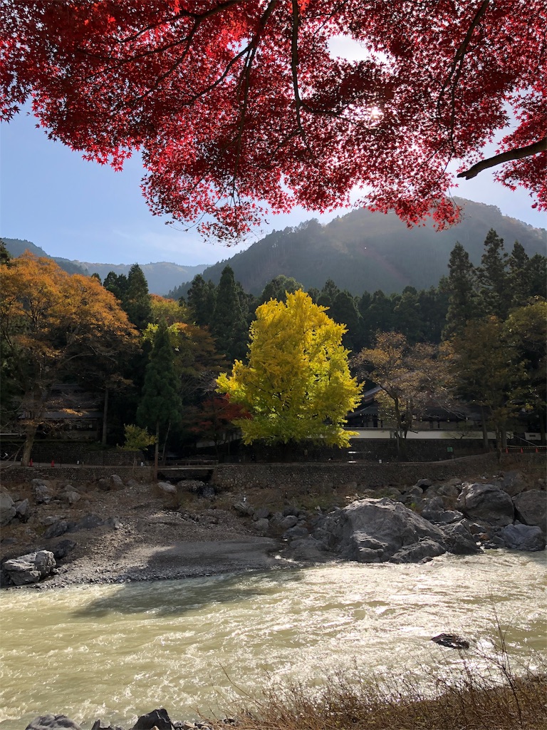 f:id:Gucchy:20191118135542j:image